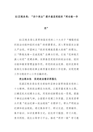 XX区税务局：“四个突出”提升基层党组织“两功能一作用”