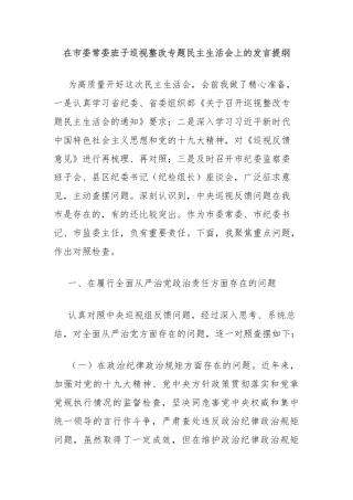 在市委常委班子巡视整改专题民主生活会上的发言提纲