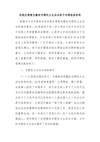 巡视反馈意见整改专题民主生活会班子对照检查材料