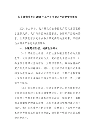 某乡镇党委书记2024年上半年全面从严治党情况报告