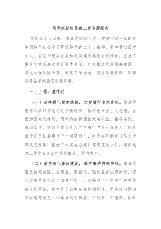 局党组纪检监察工作专题报告