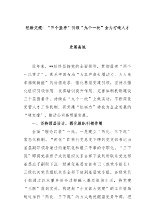 经验交流：“三个坚持”引领“九个一批”全力打造人才发展高地