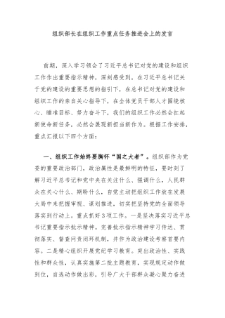 组织部长在组织工作重点任务推进会上的发言