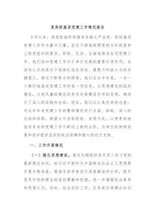 某局抓基层党建工作情况报告