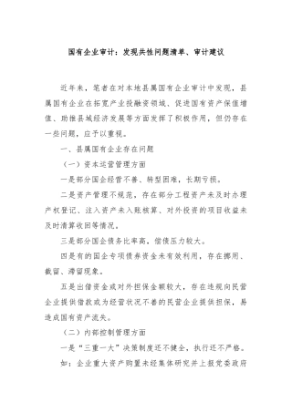 国有企业审计：发现共性问题清单、审计建议