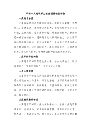 干部个人意识形态责任制结论性评价