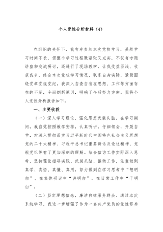 个人党性分析材料（4）