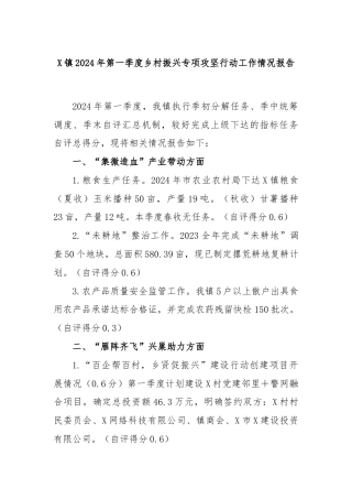 X镇2024年第一季度乡村振兴专项攻坚行动工作情况报告