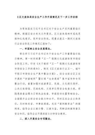 X区文旅体局安全生产工作开展情况及下一步工作安排
