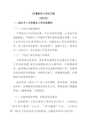 驻村工作队月报