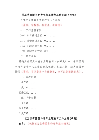 乡镇团员和青年主题教育工作总结