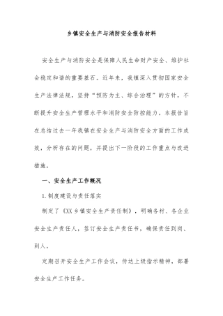 乡镇安全生产与消防安全工作报告