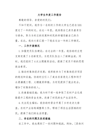 年度工作报告（参考模板）