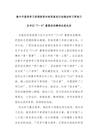 集中开展再学习再领悟再对标再落实行动推动学习贯彻习总书记“7·9”重要讲话精神走深走实