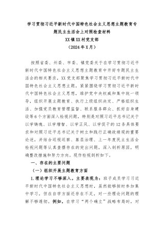 XX村学习新时代主题教育班子对照材料