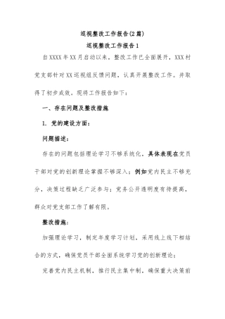 (2篇)支部党建巡视整改工作报告、整改材料