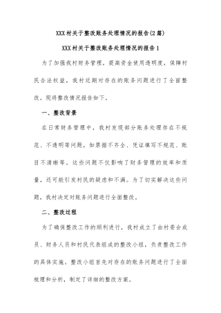 (2篇)关于整改账务处理情况的报告