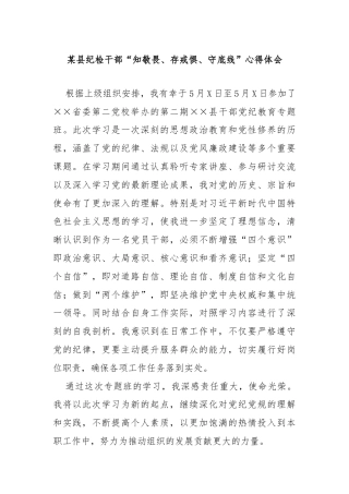 某县纪检干部“知敬畏、存戒惧、守底线”心得体会