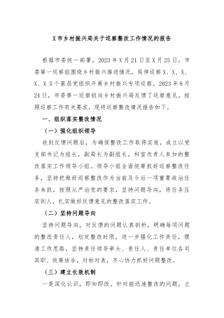 X市乡村振兴局关于巡察整改工作情况的报告