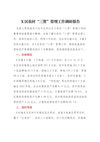 X区农村“三资”管理工作调研报告