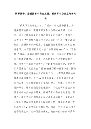 调研报告：分析区青年商会建设，探索青年企业家培养路径