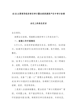在XX主要领导经济责任审计暨自然资源资产任中审计协调会议上的表态发言