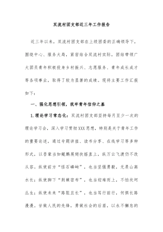 双流村团支部近三年工作报告