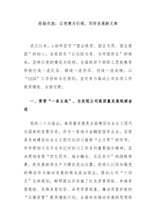 经验交流：以党建为引领，写好发展新文章