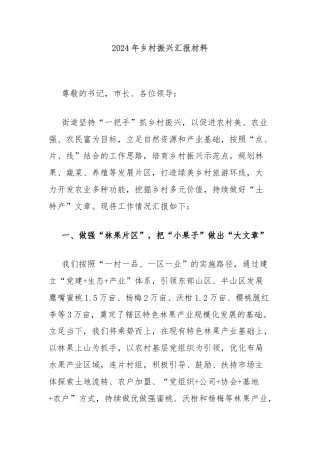 2024年乡村振兴汇报材料