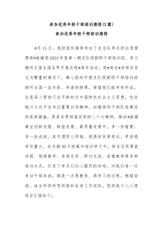 (3篇)参加优秀年轻干部培训感悟