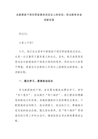 在新提拔干部任职前集体谈话会上的讲话：担当新使命奋进新征程
