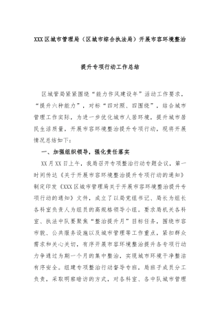 XXX区城市管理局（区城市综合执法局）开展市容环境整治提升专项行动工作总结