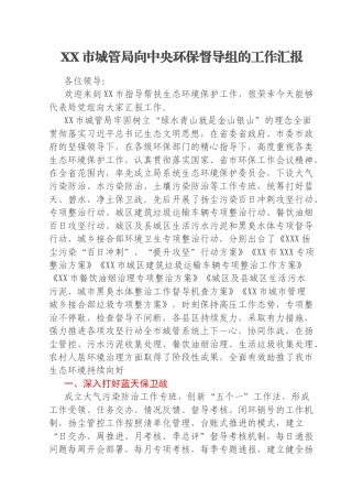 XX市城管局向中央环保督导组的工作汇报