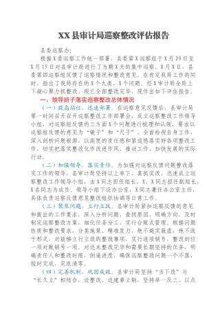 XX县审计局巡察整改评估报告