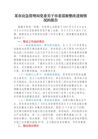 某市应急管理局党委关于市委巡察整改进展情况的报告