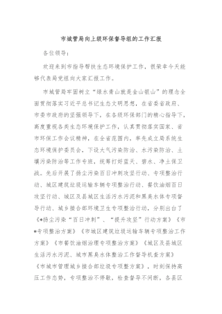 市城管局向上级环保督导组的工作汇报