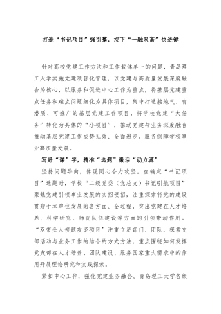打造“书记项目”强引擎，按下“一融双高”快进键