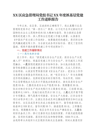 XX区应急管理局党组书记XX年度抓基层党建工作述职报告