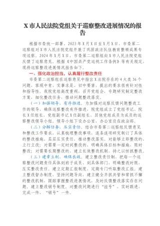 X市人民法院党组关于巡察整改进展情况的报告