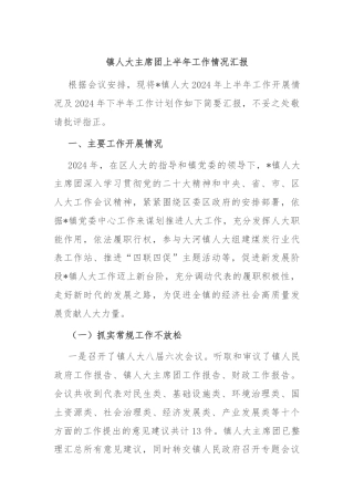 镇人大主席团上半年工作情况汇报
