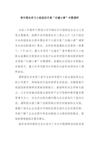 青年理论学习小组组织开展“关键小事”专题调研