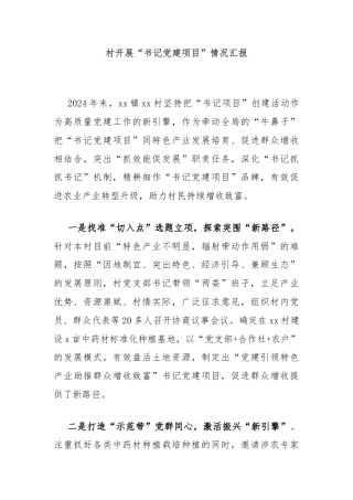 村开展“书记党建项目”情况汇报
