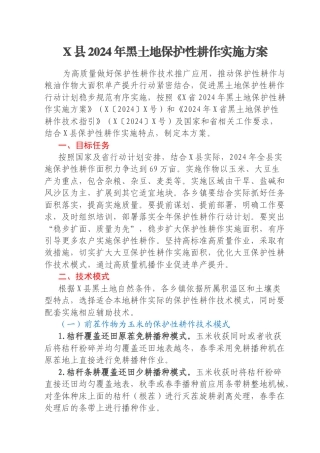 X县2024年黑土地保护性耕作实施方案