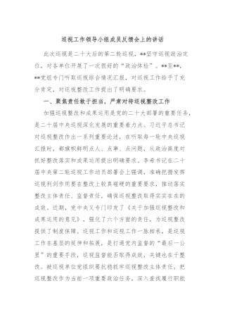 巡视工作领导小组成员反馈会上的讲话