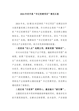 2024年村开展“书记党建项目”情况汇报