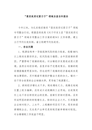 “落实政府过紧日子”领域自查自纠报告