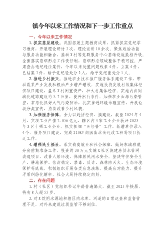 镇今年以来工作情况和下一步工作重点