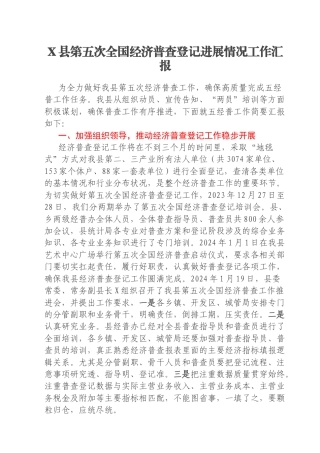 X县第五次全国经济普查登记进展情况工作汇报