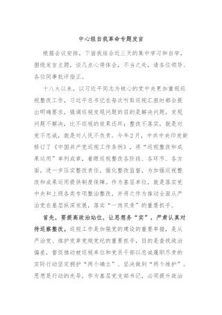 中心组自我革命专题发言