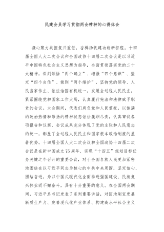 民建会员学习贯彻两会精神的心得体会